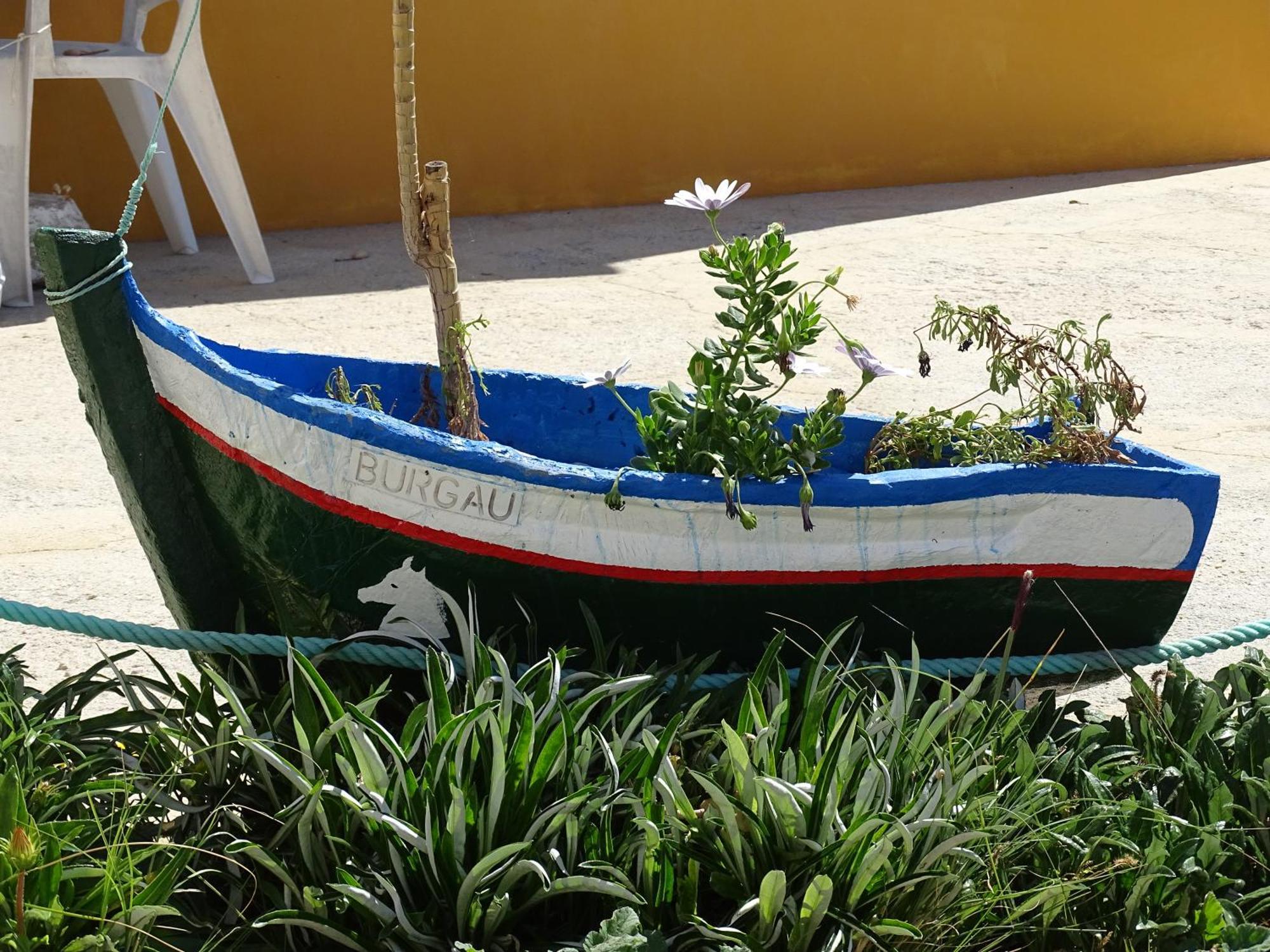 Casa Afonso Henriques Appartement