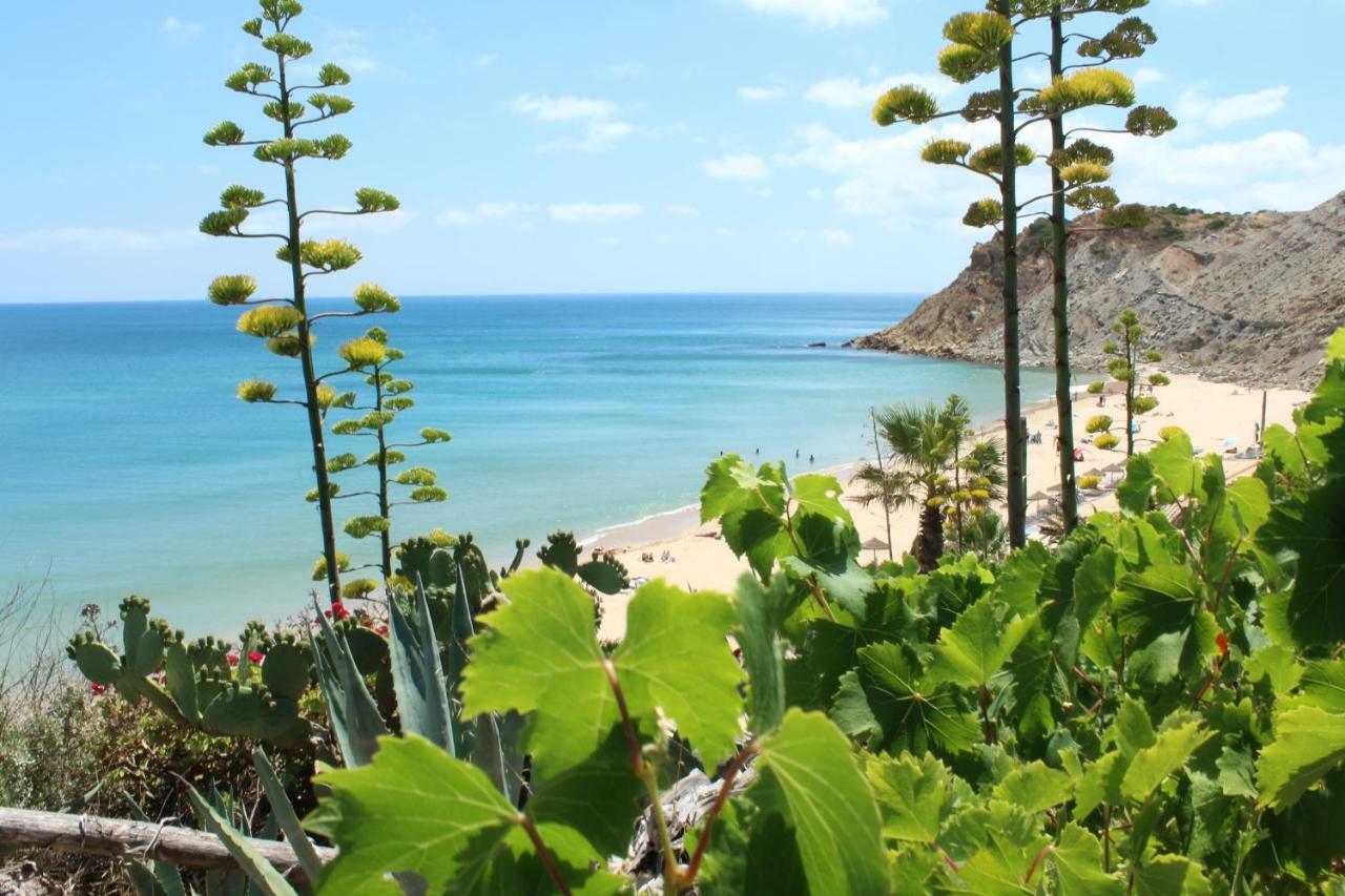 Appartement Casa Afonso Henriques *